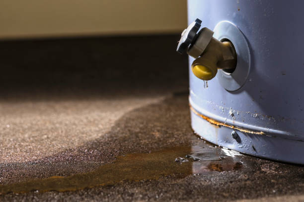 Best Ceiling water damage repair  in Martinsville, NJ