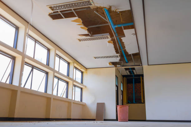Best Water damage restoration near me  in Martinsville, NJ