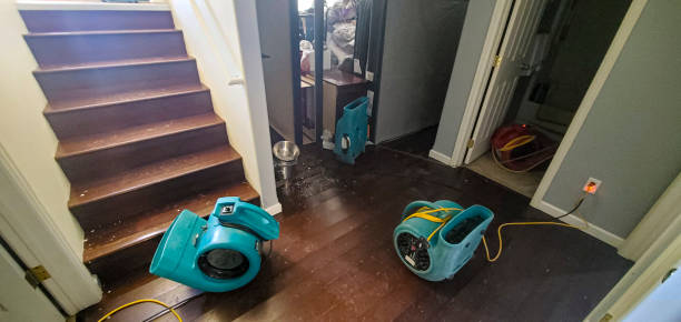 Best Water damage restoration near me  in Martinsville, NJ