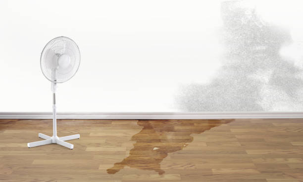 Best Commercial water damage restoration  in Martinsville, NJ