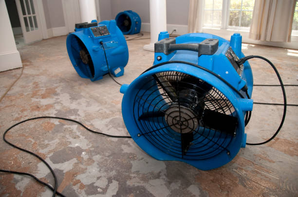 Best 24-hour water damage restoration  in Martinsville, NJ
