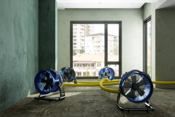 Best Residential water damage restoration  in Martinsville, NJ