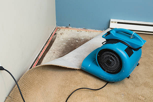 Best Flood damage cleanup  in Martinsville, NJ